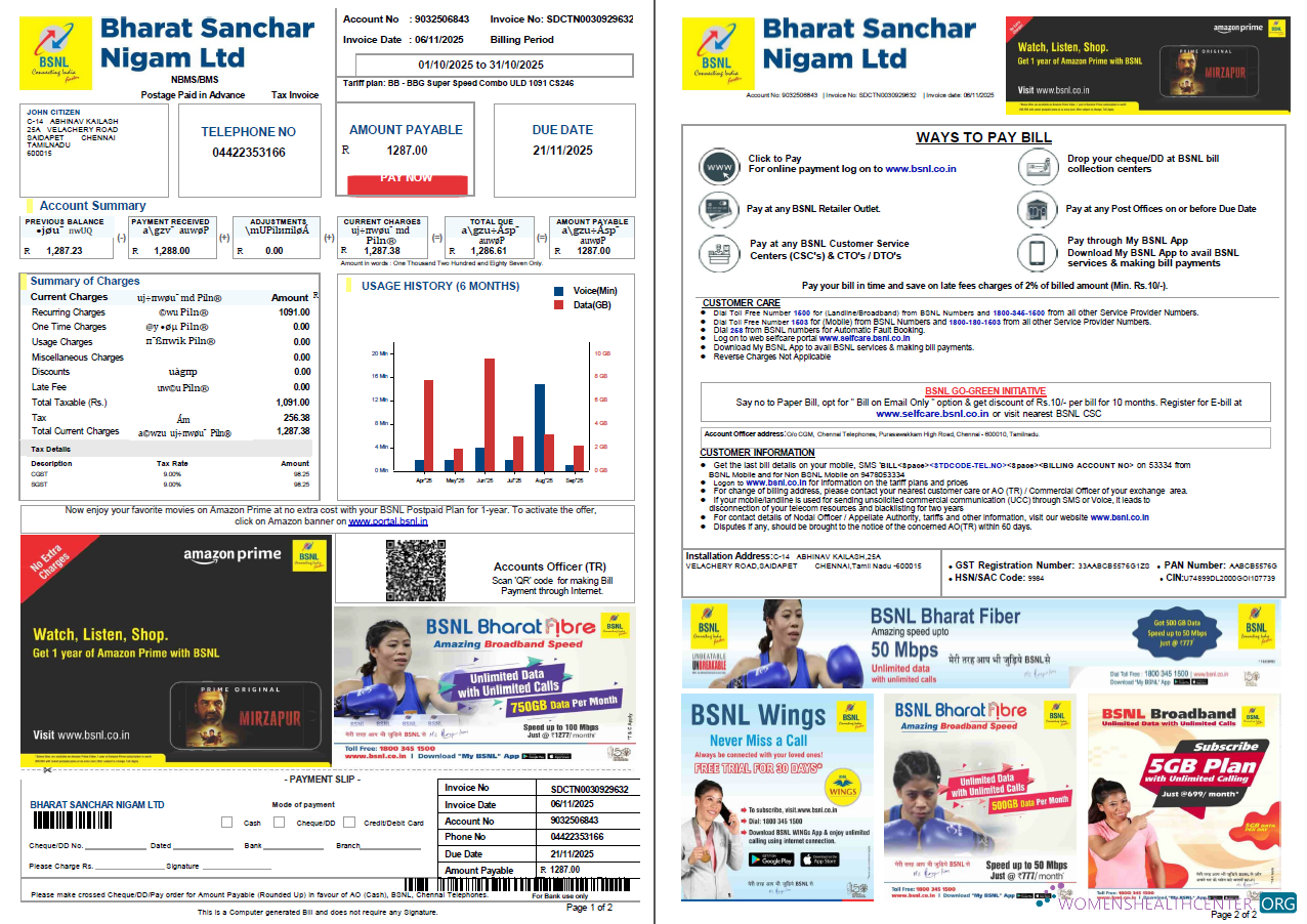 download India Bharat Sanchar Nigam Limited utility bill template in Word and PDF formats, 2 pages PDF template